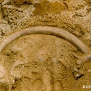 В Печорском бассейне обнаружены остатки жилищ людей эпохи энеолита