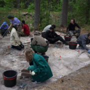 Археологи продолжили исследования стоянки каменного века в Коми