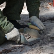 Археологам Коми попалась в Ижемском районе редкая находка (БНК)