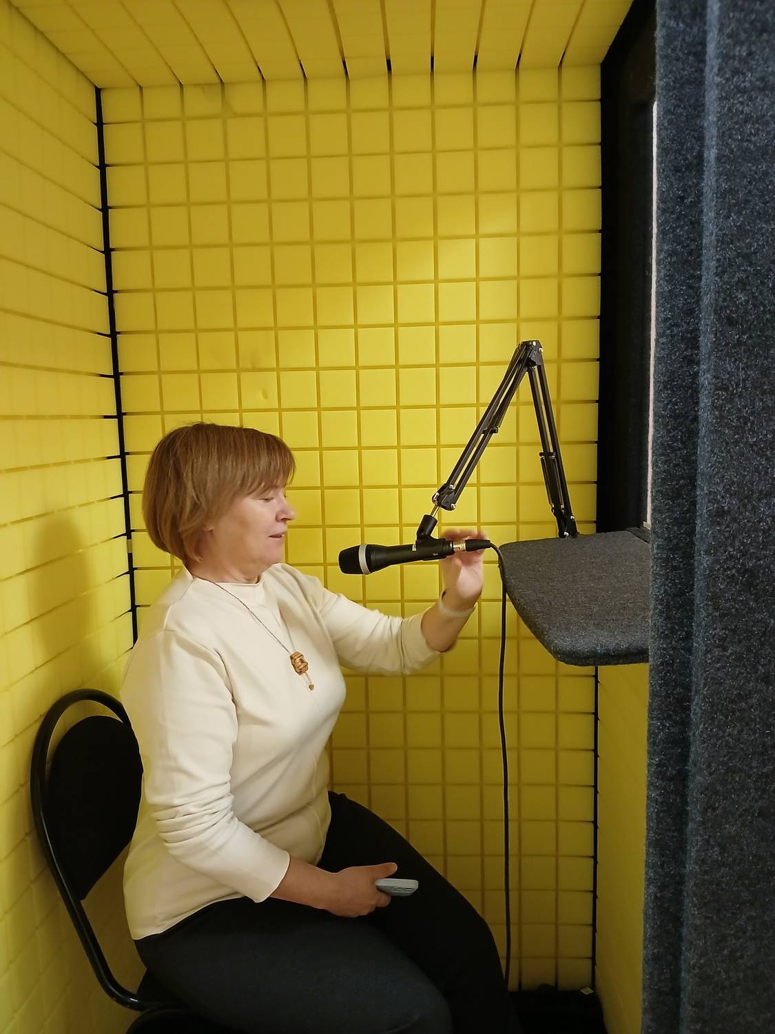 В ИЯЛИ обсудили развитие национального корпуса коми языка