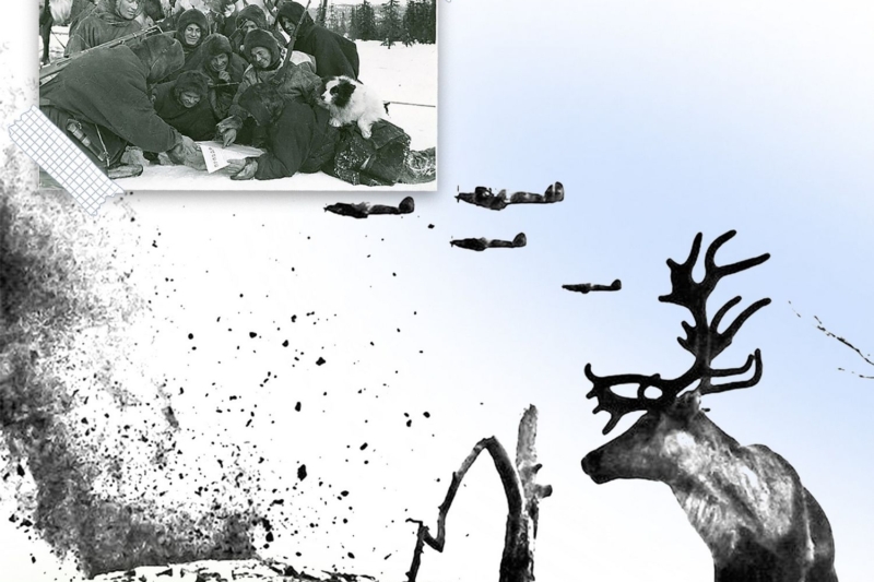 Открылась выставка «Память оленных батальонов: история подвига народов Севера»