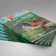 Издан словарь коми кличек животных Издан словарь коми кличек животных