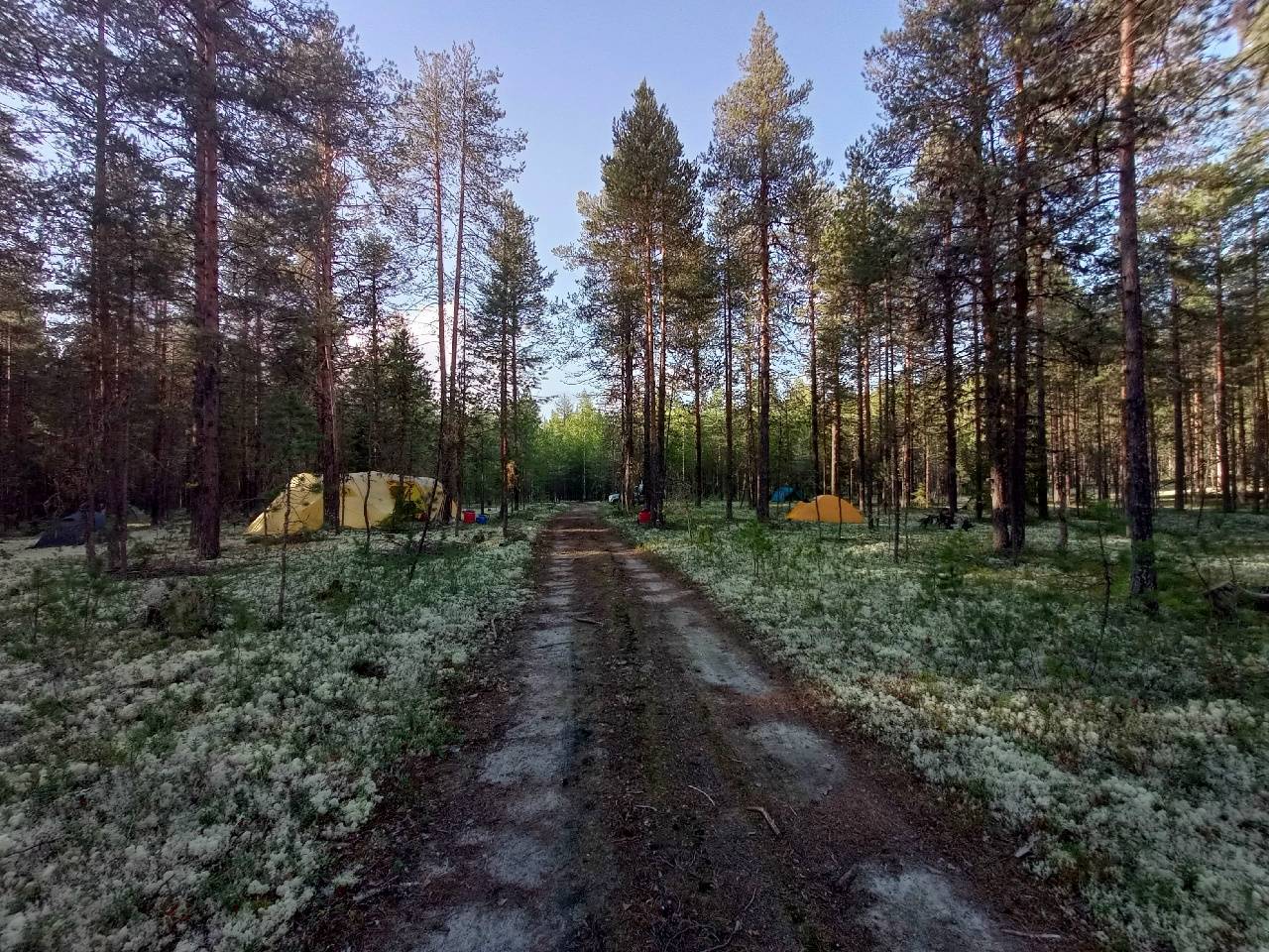Сосновый бор, лагерь археологов